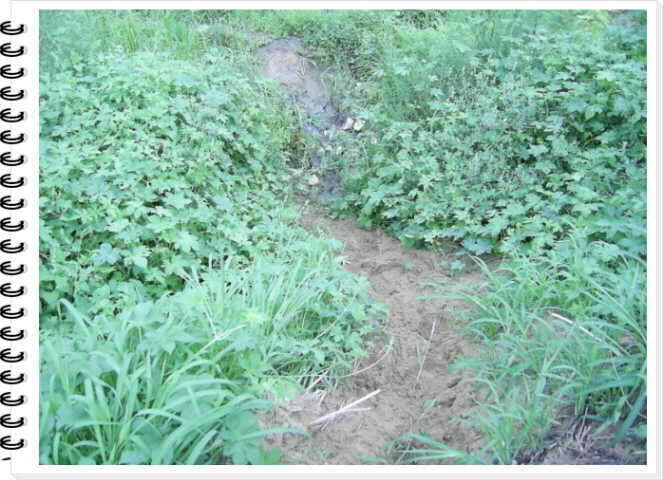 005_johwang06174933.jpg