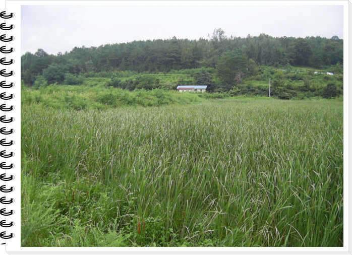 010_johwang05330454.jpg