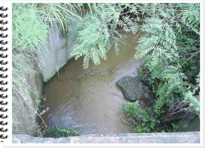 SA400008_johwang06310275.jpg