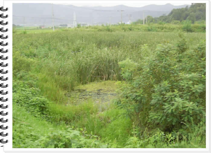 SA400011_johwang06330324.jpg