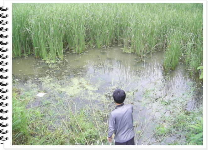 SA400022_johwang06393363.jpg