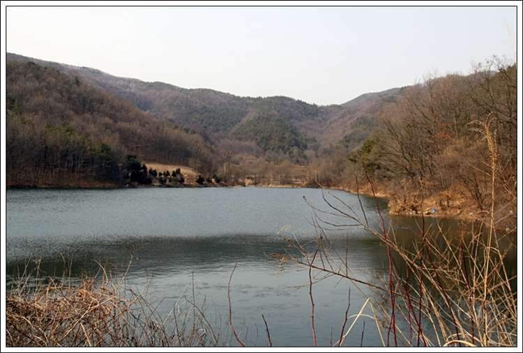제방서 상류_johwang11085557.jpg