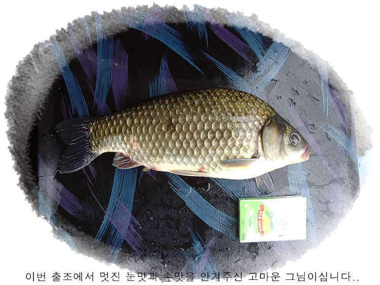-16_johwang0133054.jpg
