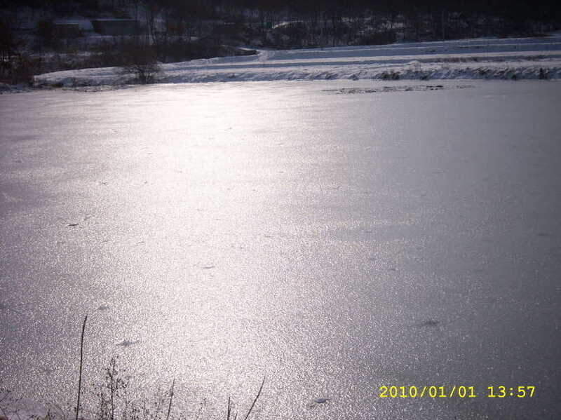 _사진 031_johwang12085574.jpg