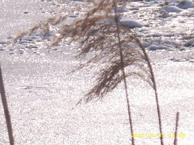 _사진 033_johwang12223490.jpg