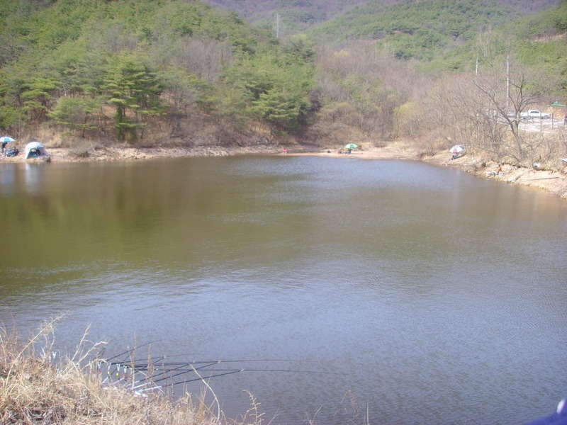 _일괄편집_SSL23563_johwang11311472.j