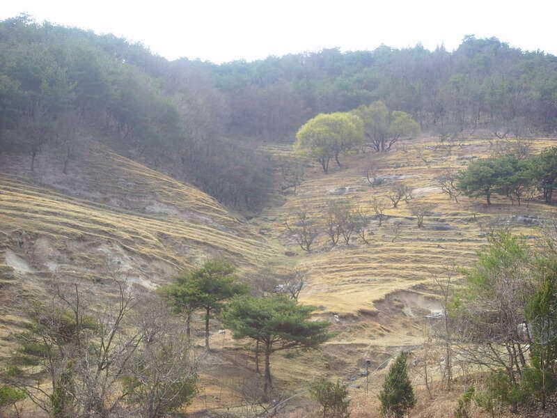 _일괄편집_SSL23566_johwang11313953.j