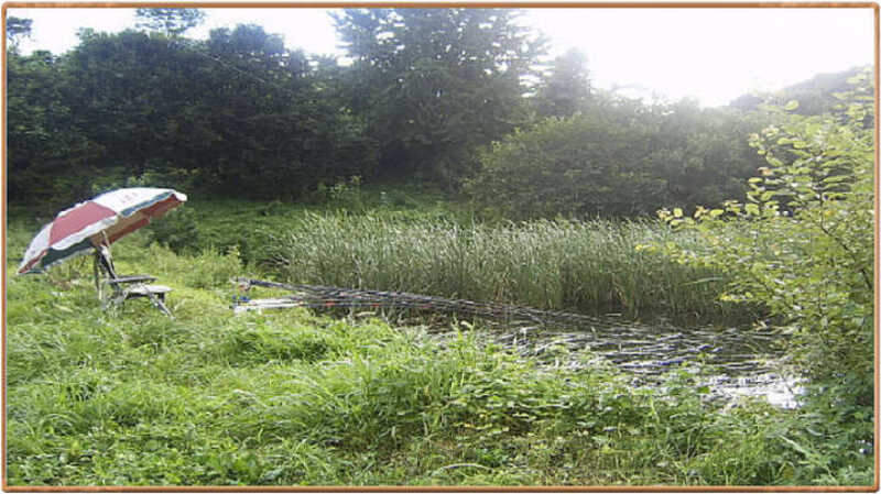 (점방)_johwang09493813.jpg