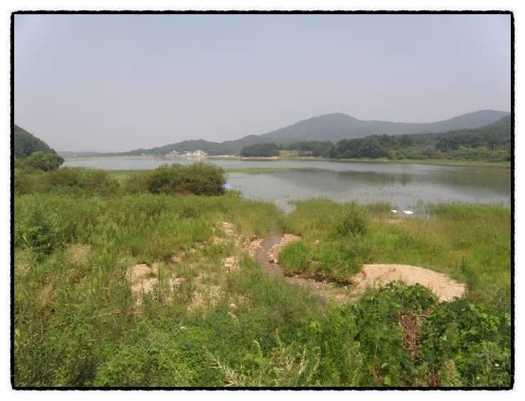 본 전경_johwang10383997.jpg