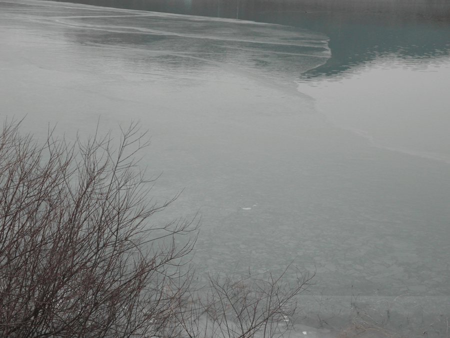 17_johwang02074436.gif