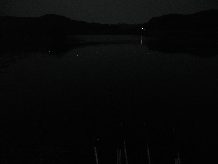 3_johwang0149162.gif