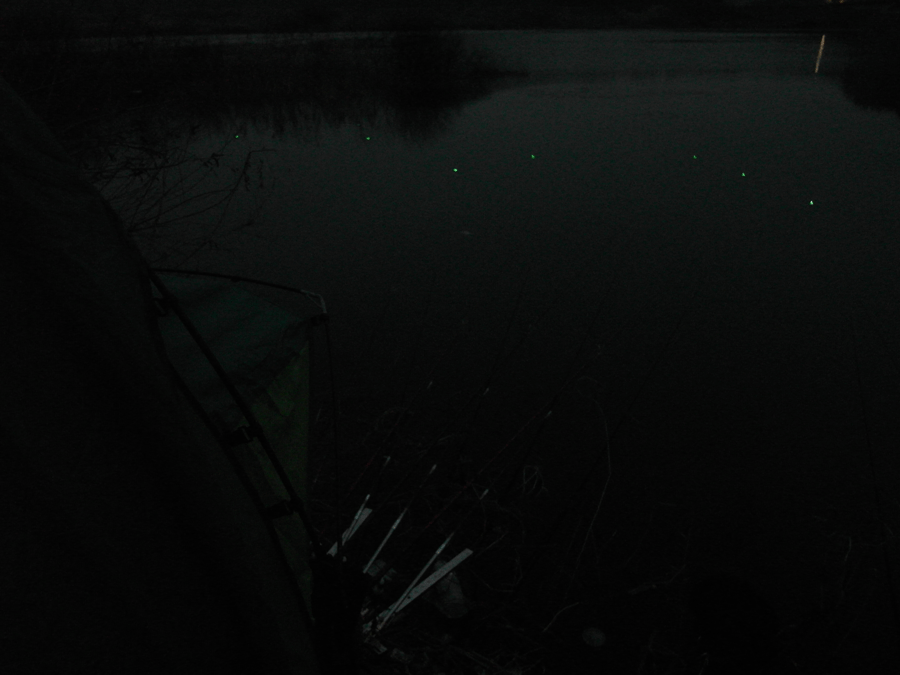 4_johwang01505555.gif