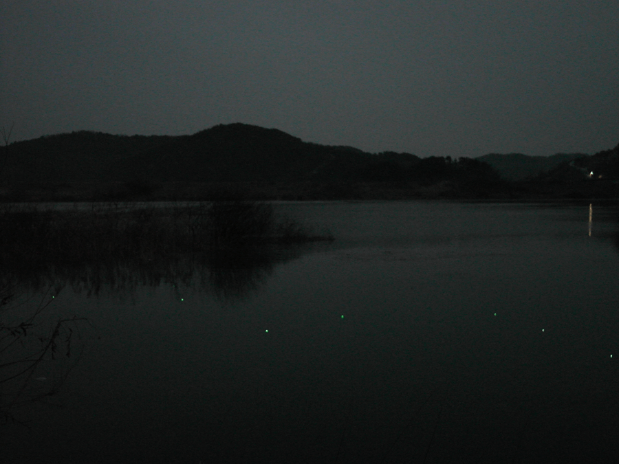 5_johwang01520969.gif