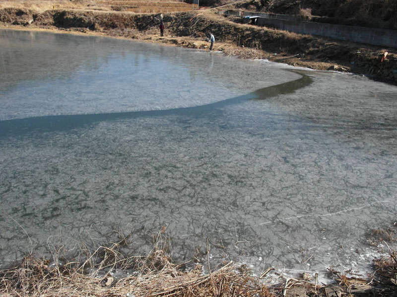 1_johwang02215595.jpg
