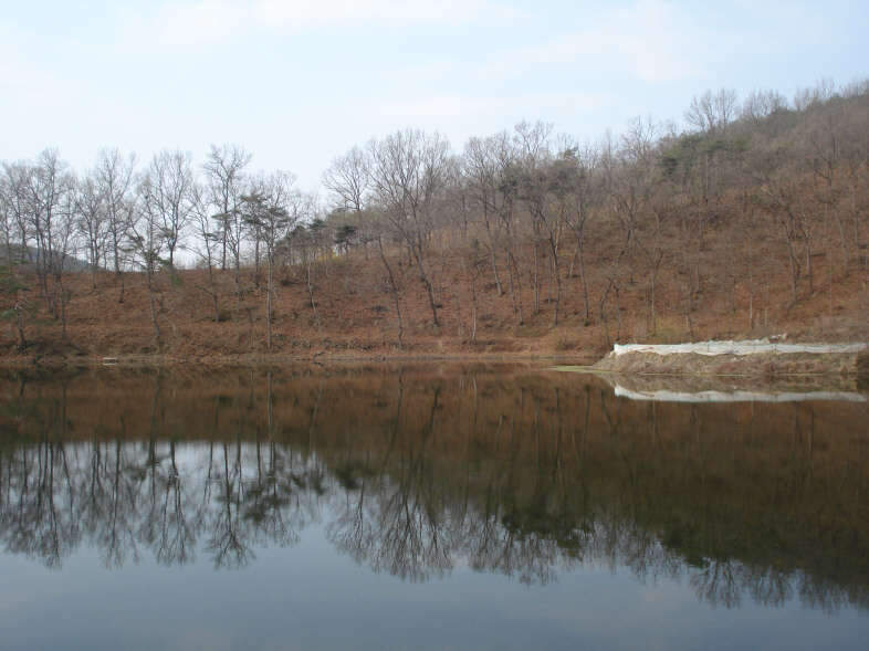 22월척 046_johwang0746391.jpg