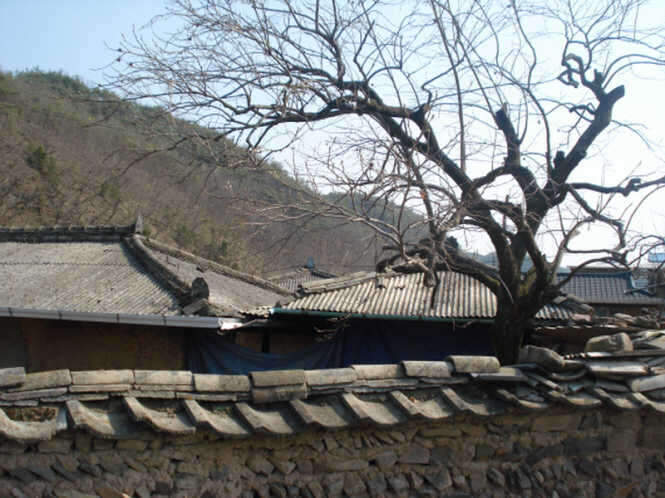 DSC02659_johwang06104958.jpg