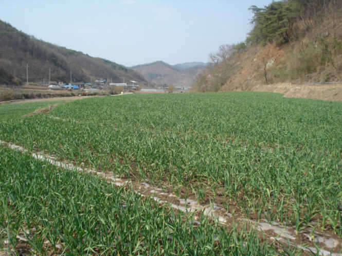DSC02663_johwang06211095.jpg