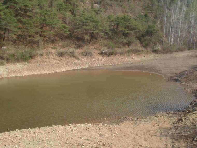 DSC02665_johwang06292430.jpg