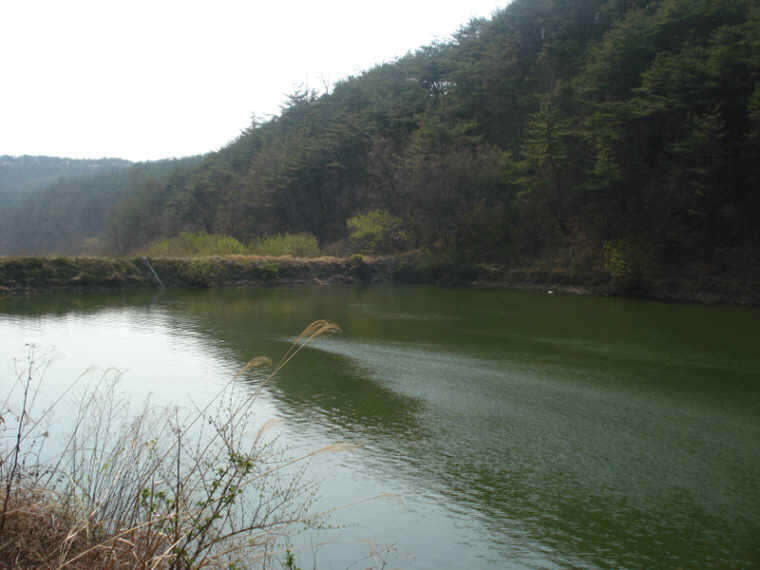 DSC02667_johwang06301287.jpg