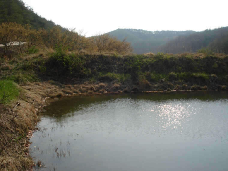 DSC02674_johwang06394652.jpg