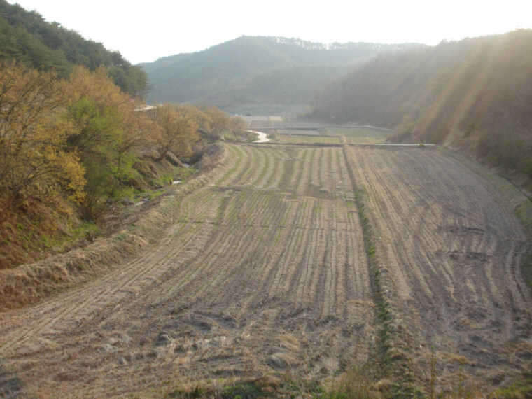 DSC02677_johwang06462248.jpg