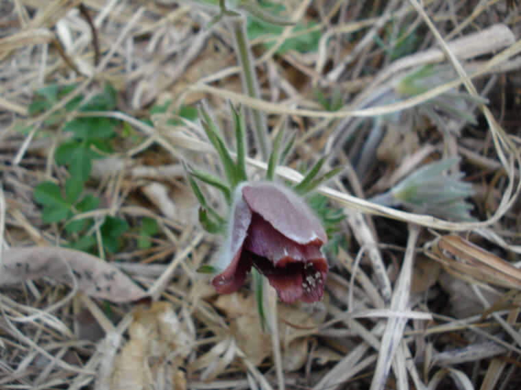 DSC02685_johwang06475679.jpg