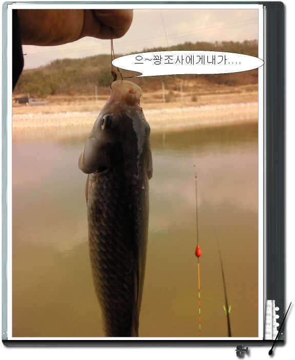_꾸미기_붕어_johwang09083489.jpg