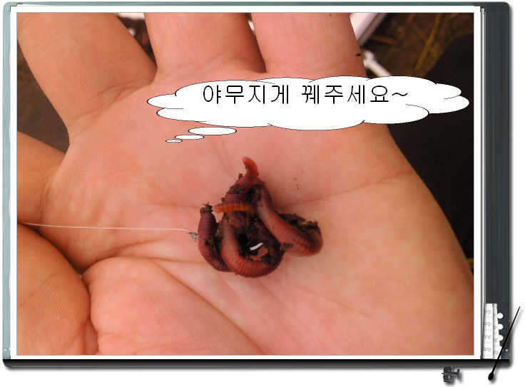 _꾸미기_지롱이_johwang09030977.jpg