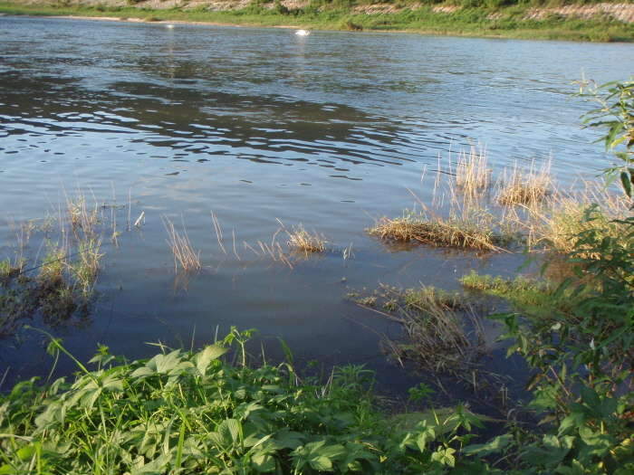 _사진 015_johwang03481415.jpg