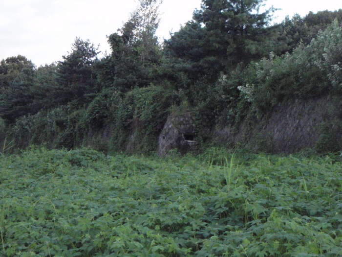 _사진 019_johwang03494230.jpg