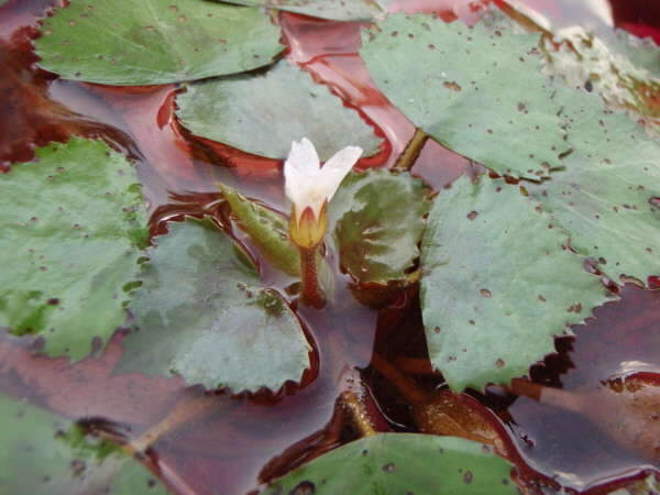 _사진 022_johwang08500990.jpg