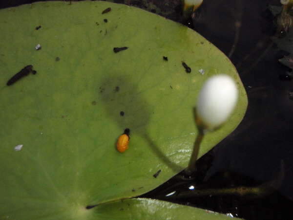 _사진 057_johwang08502058.jpg
