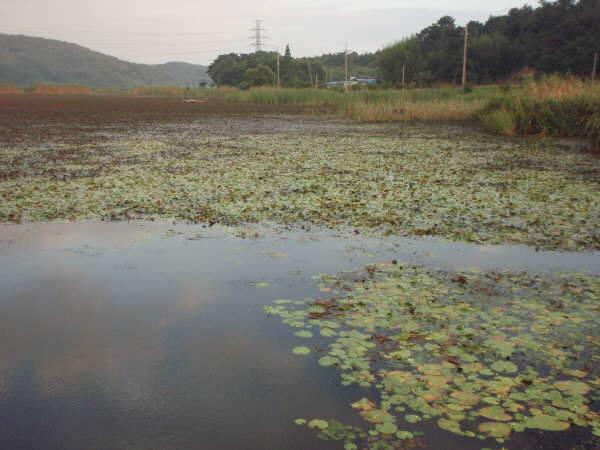 _사진 066_johwang08460826.jpg
