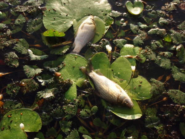 _사진 073_johwang08564012.jpg