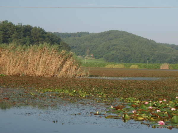 _사진 080_johwang08570748.jpg