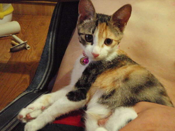 _사진 081_johwang08571599.jpg
