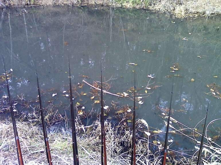 _사진091223_002_johwang01402955.jpg
