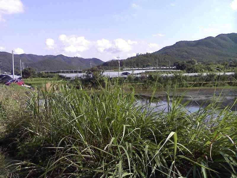 _크기변환_사진090813_009_johwang05