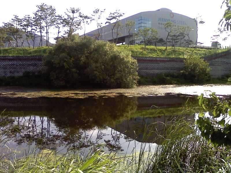 _크기변환_사진090813_010_johwang05