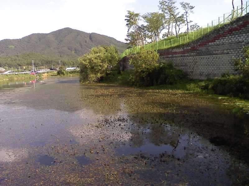 _크기변환_사진090813_019_johwang05
