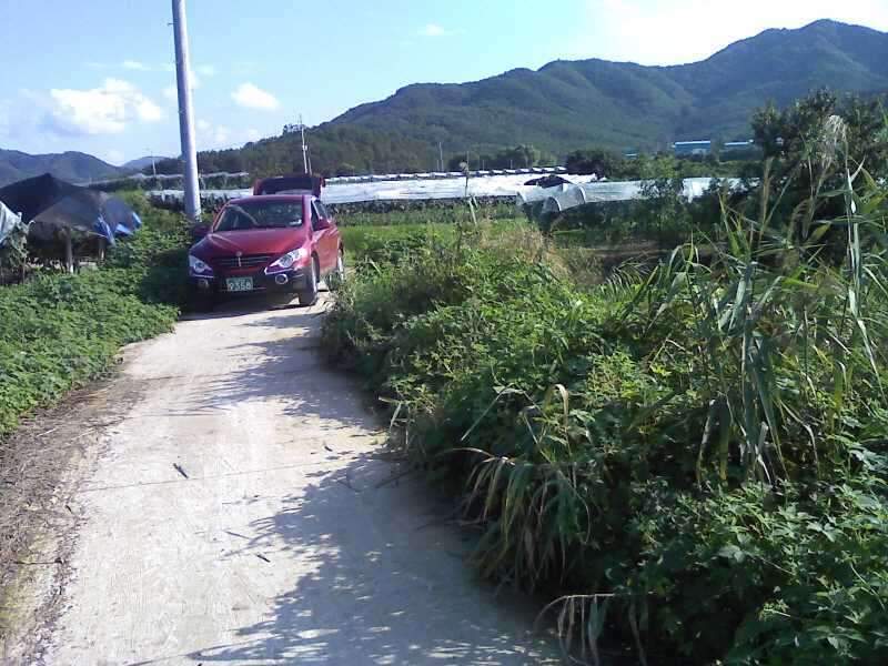 _크기변환_사진090813_021_johwang05