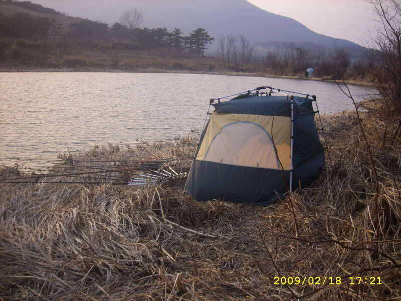 _SPA54287_johwang01371594.jpg