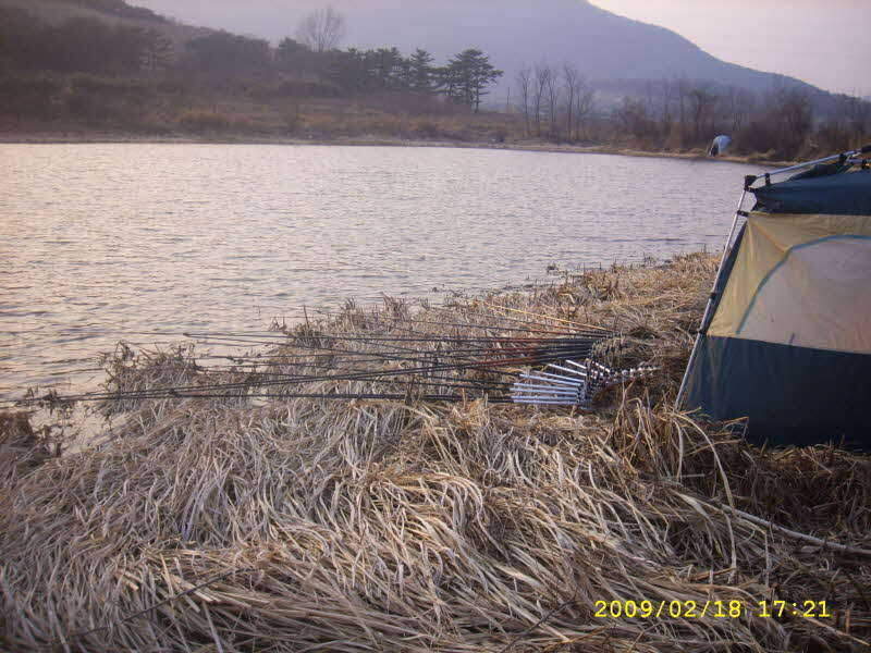 _SPA54288_johwang01372275.jpg