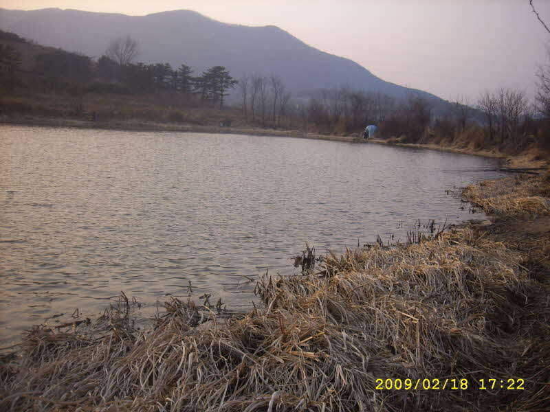 _SPA54297_johwang01482134.jpg