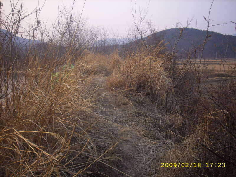 _SPA54299_johwang0148382.jpg