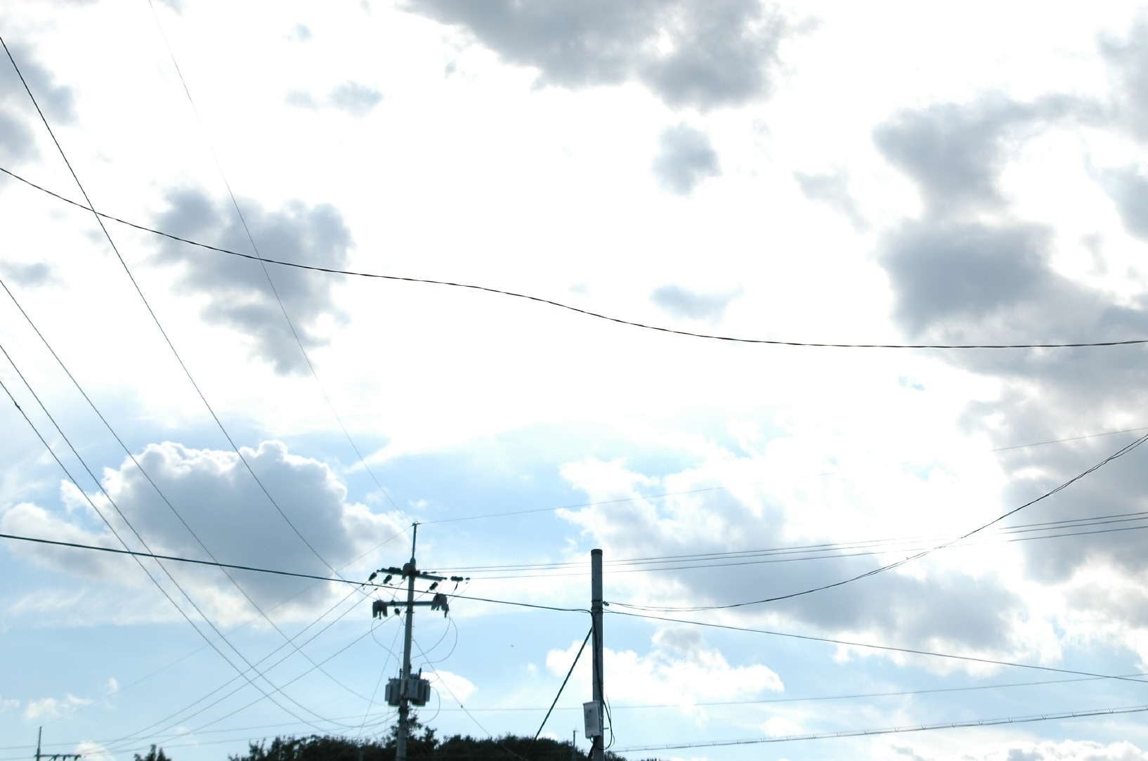 D70S 062_picture08052551