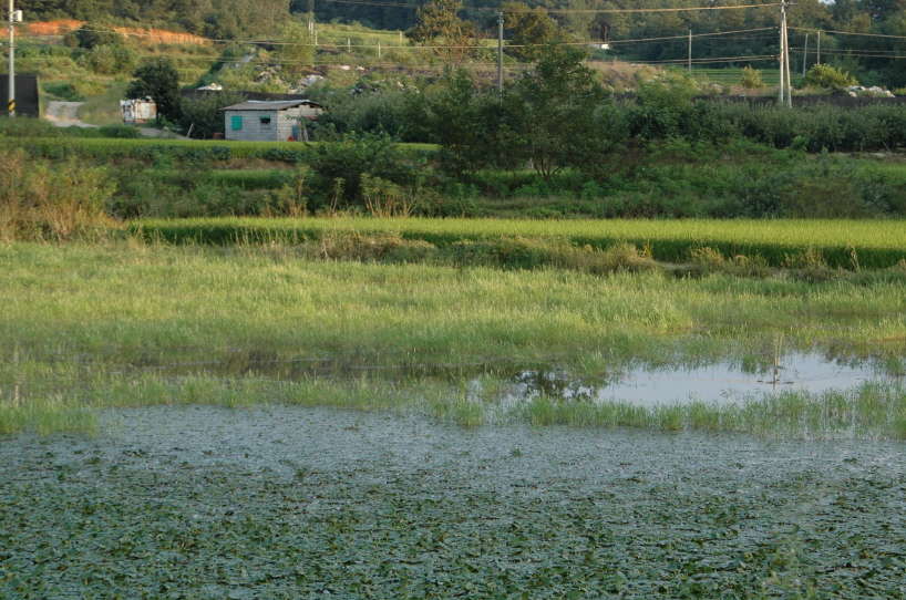 D70S 110_picture08584025