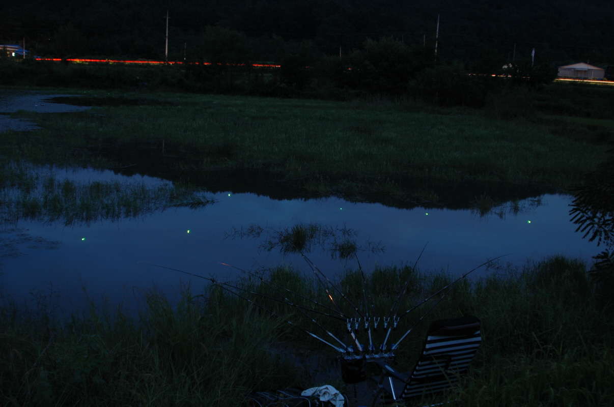 D70S 114_picture08592985