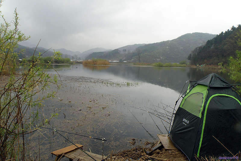 fish 012_picture08374452.jpg