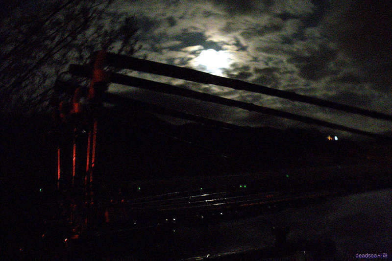 fish 080_picture08515275.jpg